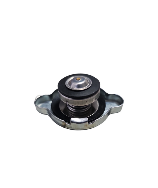 Small Japanese Caps – Complete Radiator Supplies